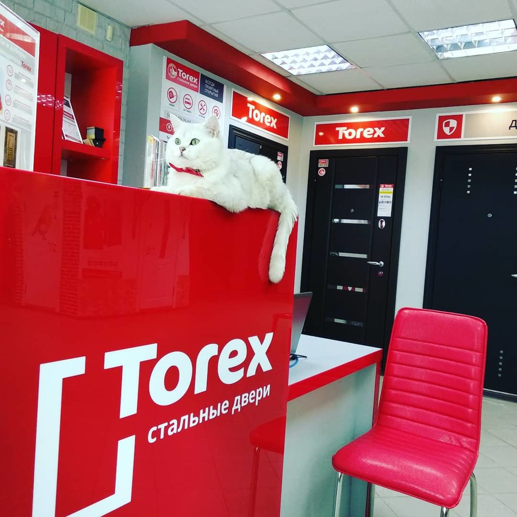 Стальные двери Torex